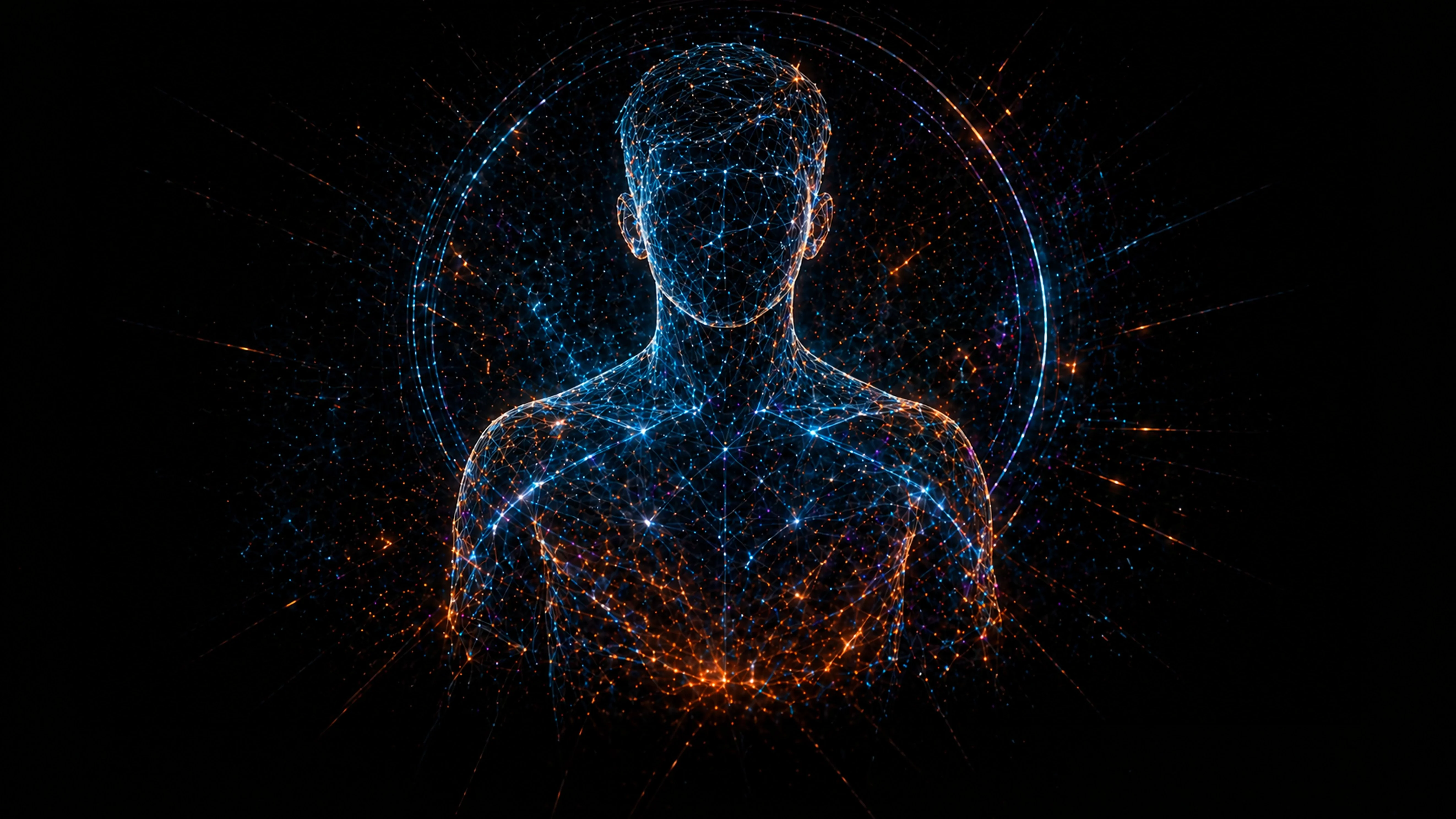 Portrait — wireframe